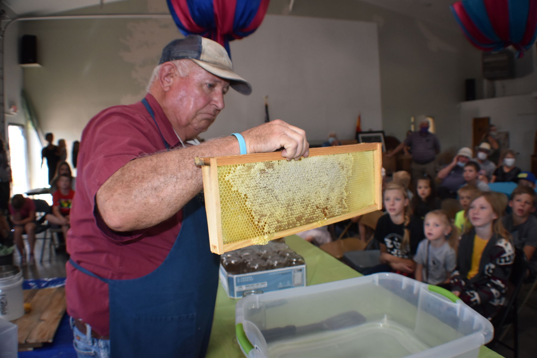 A honey of a day at White Mountain Nature Center
